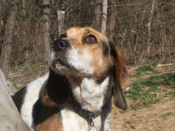Maggie